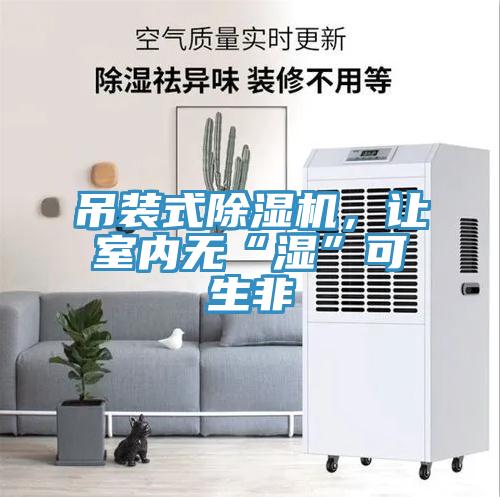 吊裝式除濕機，讓室內(nèi)無“濕”可生非