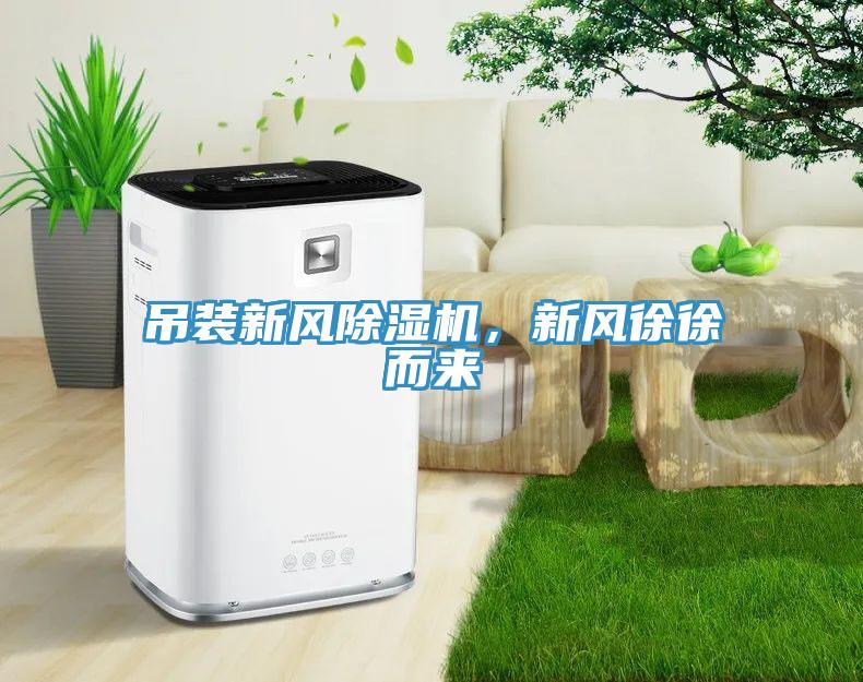 吊裝新風(fēng)除濕機，新風(fēng)徐徐而來