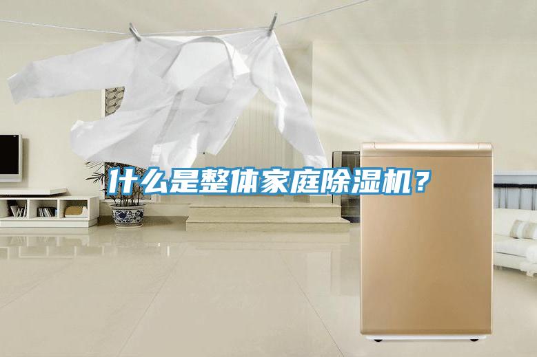 什么是整體家庭除濕機？