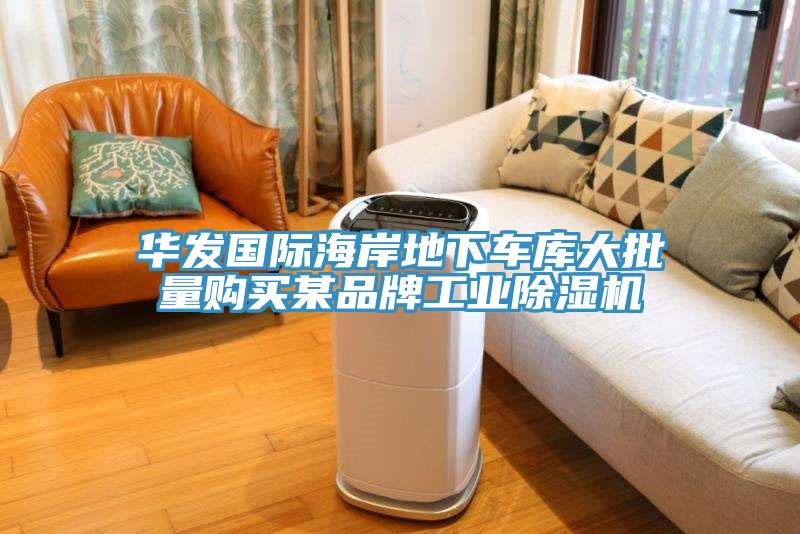 華發國際海岸地下車庫大批量購買某品牌工業除濕機