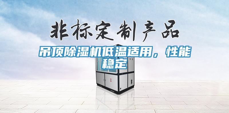 吊頂除濕機低溫適用，性能穩(wěn)定
