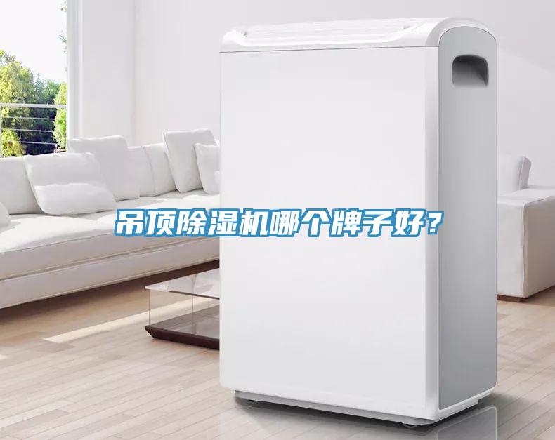 吊頂除濕機(jī)哪個(gè)牌子好？