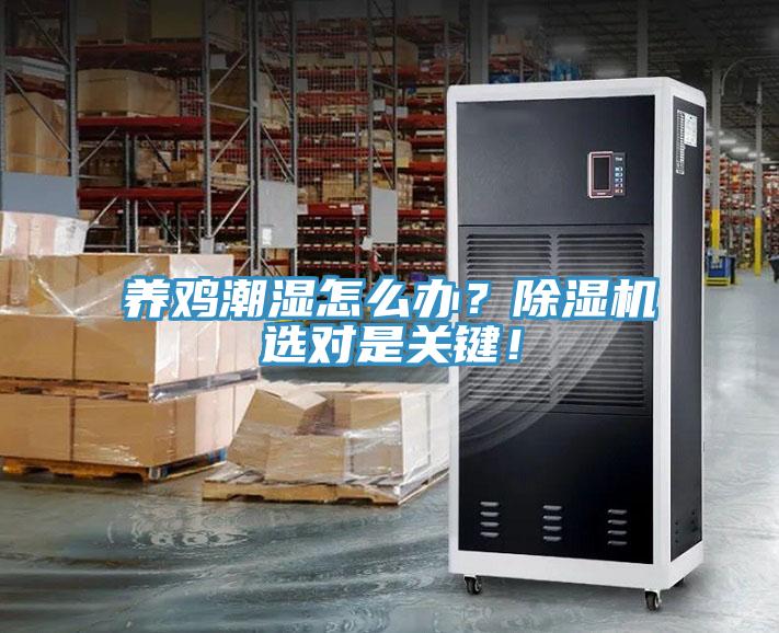 養(yǎng)雞潮濕怎么辦？除濕機(jī)選對是關(guān)鍵！