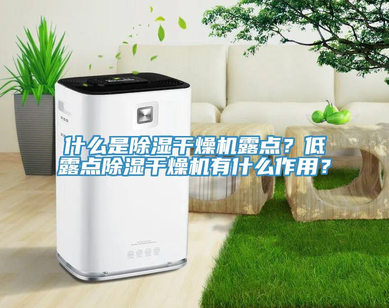 什么是除濕干燥機(jī)露點？低露點除濕干燥機(jī)有什么作用？