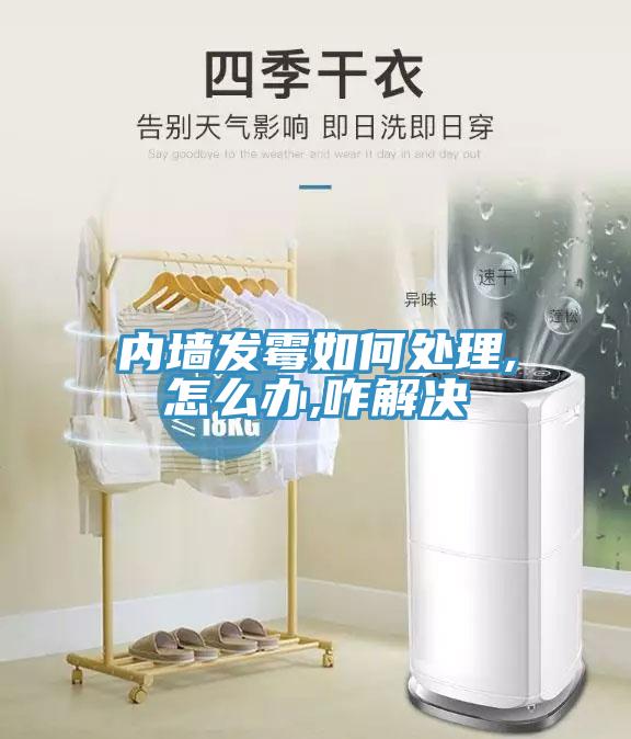 內墻發霉如何處理,怎么辦,咋解決