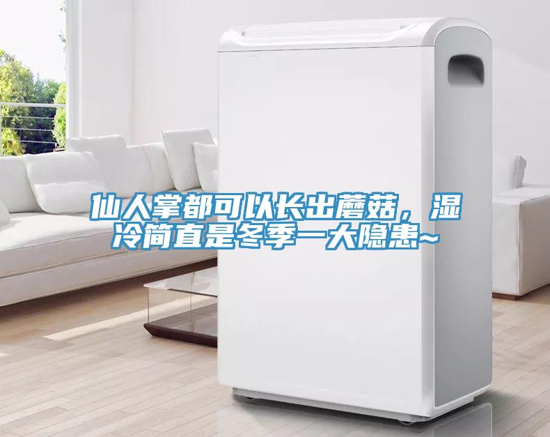 仙人掌都可以長出蘑菇，濕冷簡直是冬季一大隱患~