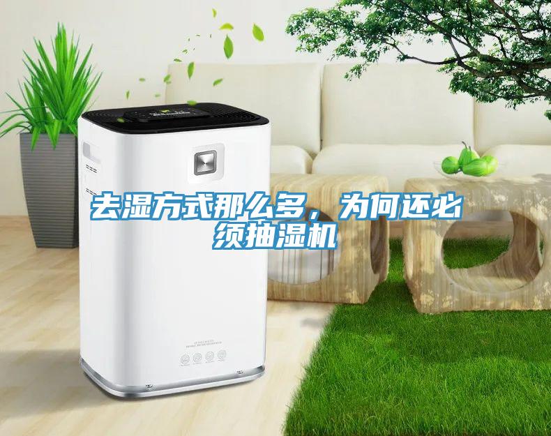 去濕方式那么多，為何還必須抽濕機(jī)