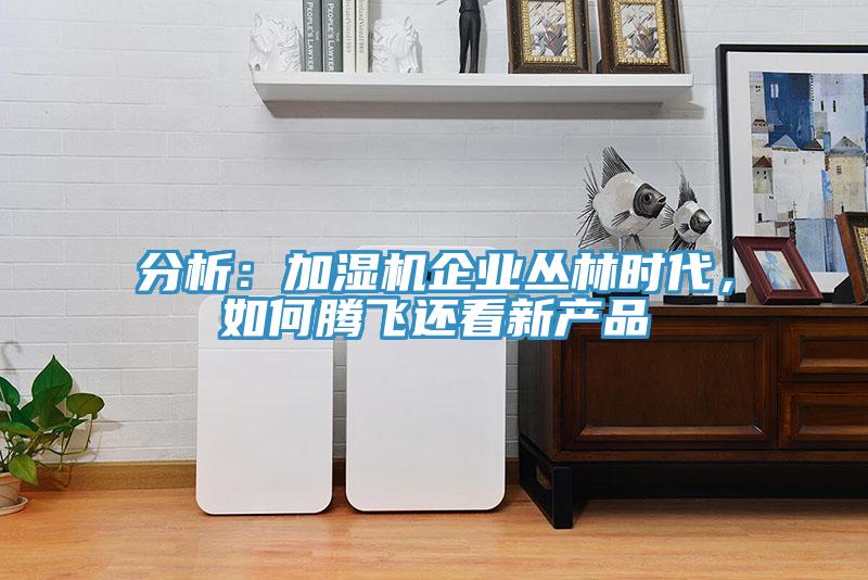 分析：加濕機企業叢林時代，如何騰飛還看新產品