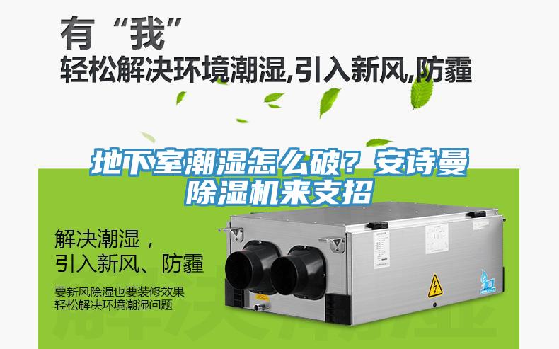 地下室潮濕怎么破？安詩曼除濕機來支招