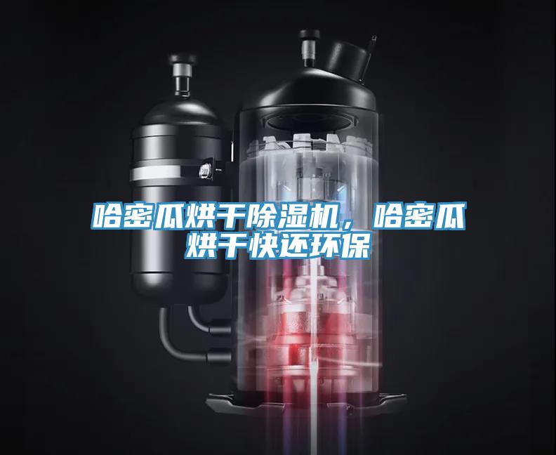 哈密瓜烘干除濕機，哈密瓜烘干快還環(huán)保