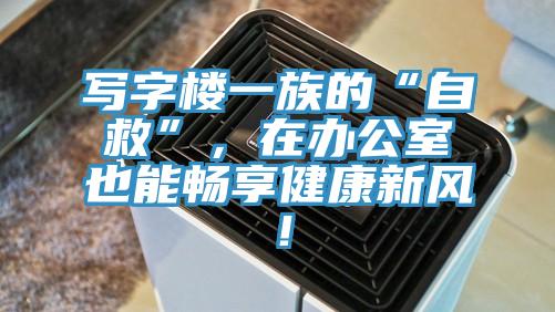 寫字樓一族的“自救”，在辦公室也能暢享健康新風！