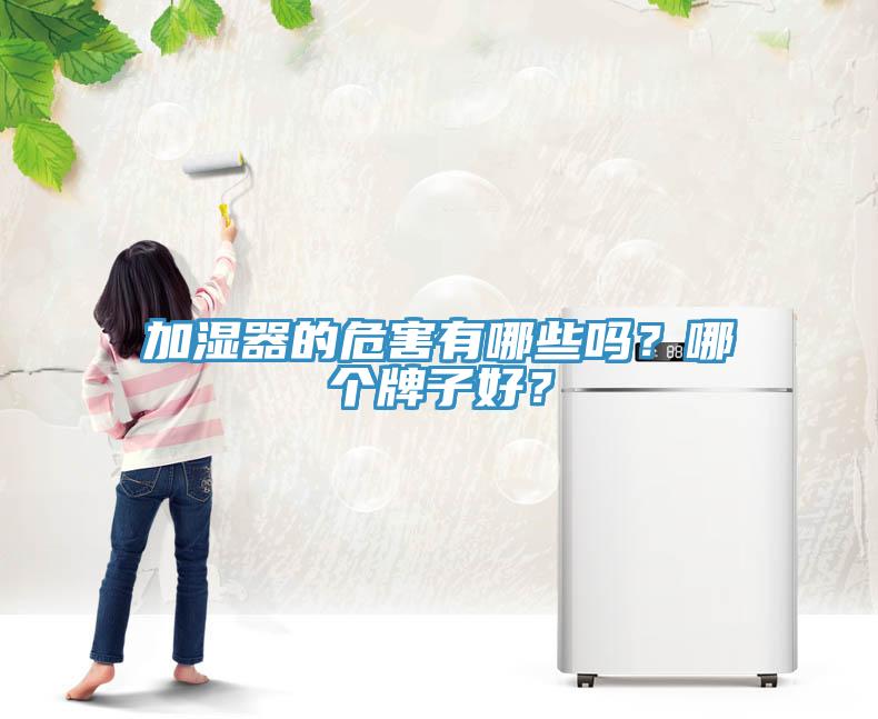 加濕器的危害有哪些嗎？哪個牌子好？