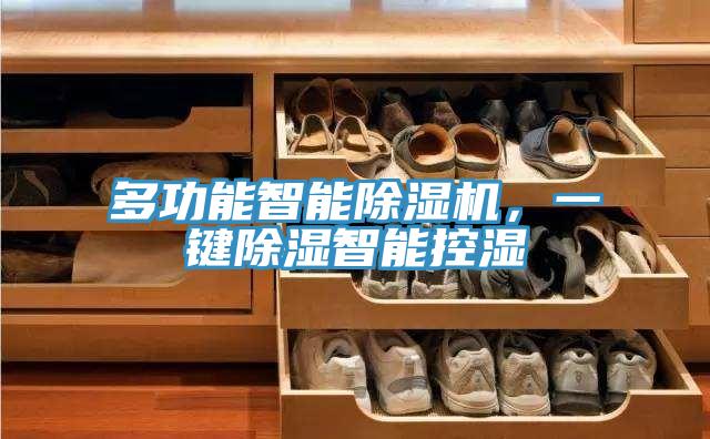 多功能智能除濕機，一鍵除濕智能控濕