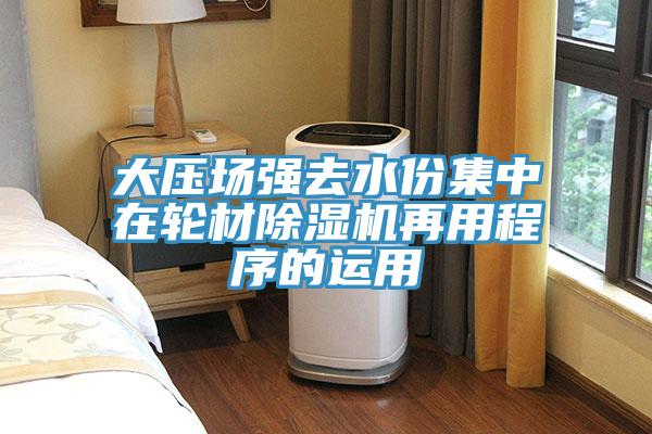 大壓場強(qiáng)去水份集中在輪材除濕機(jī)再用程序的運(yùn)用